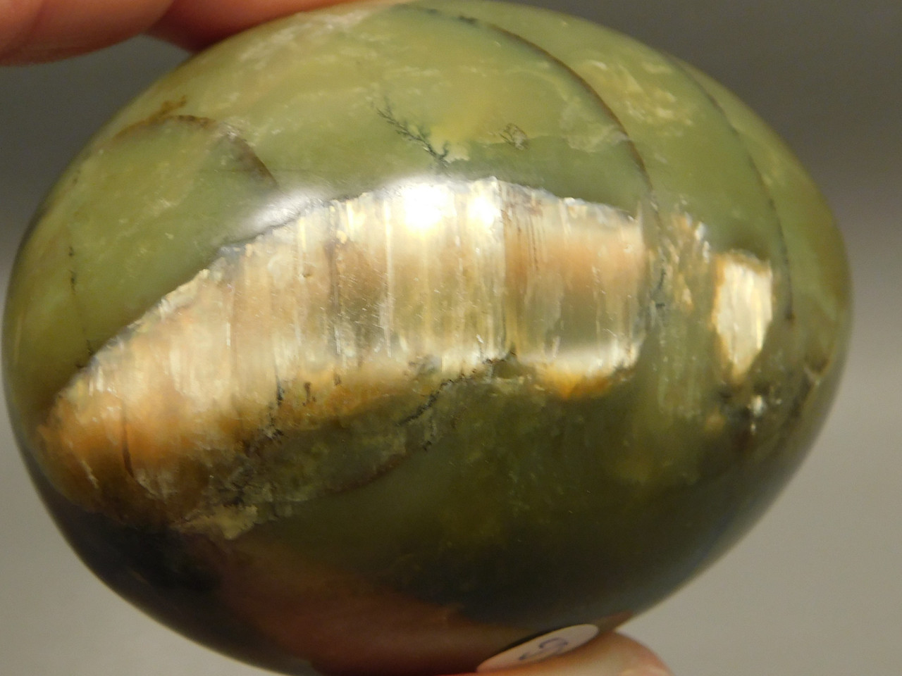 Arizona Pietersite Gemstone Egg Carving Rare 2.3 inch Tigereye #O5-