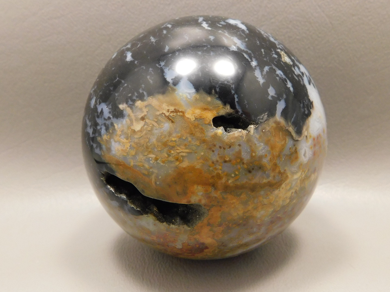 Petrified Palm Wood Root Ball 2.75 inch Sphere Fossil Indonesia #O13