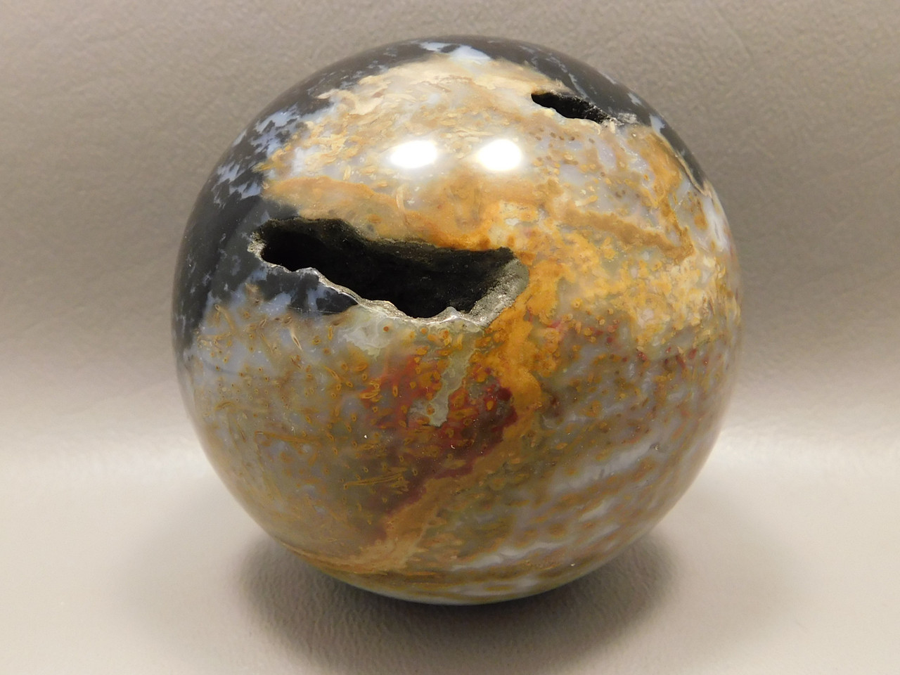 Petrified Palm Wood Root Ball 2.75 inch Sphere Fossil Indonesia #O13