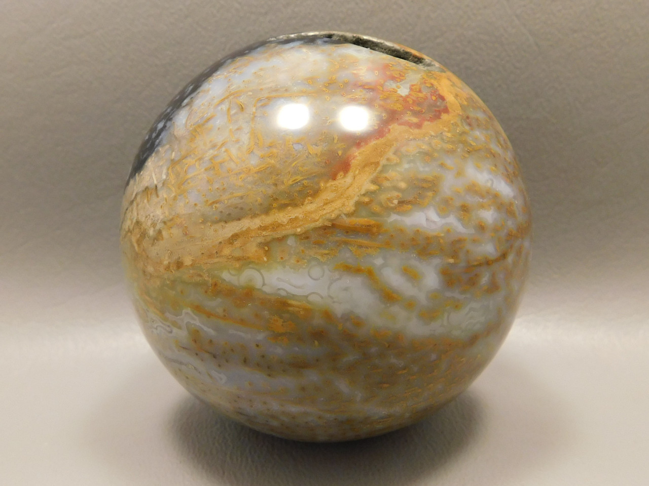 Petrified Palm Wood Root Ball 2.75 inch Sphere Fossil Indonesia #O13