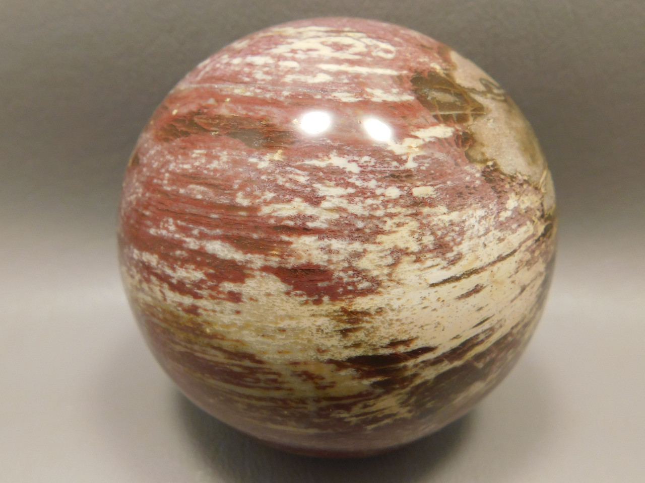 Petrified Wood Sphere Stone 2.75 inch Mineral Ball Madagascar #OM1