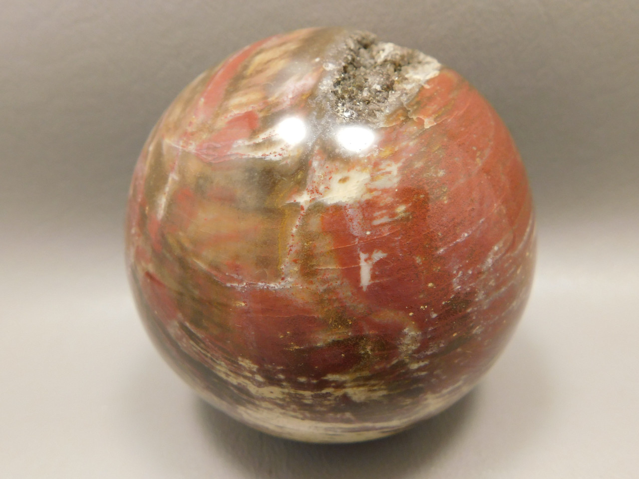 Details about   705g Petrified Wood Sphere Specimen Polished Rock Fossil Ball Madagascar A009 