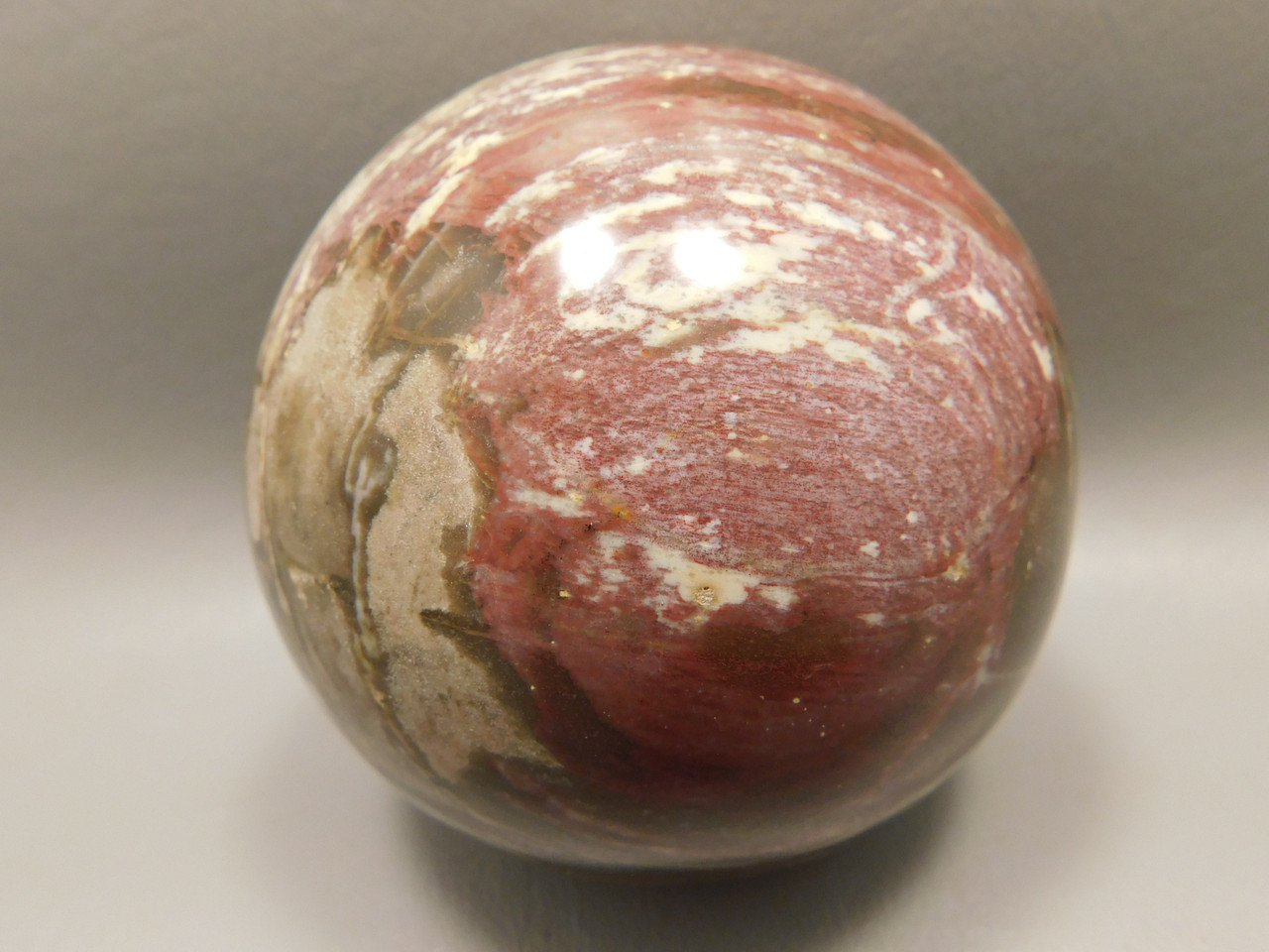 Petrified Wood Sphere Stone 2.75 inch Mineral Ball Madagascar #OM1