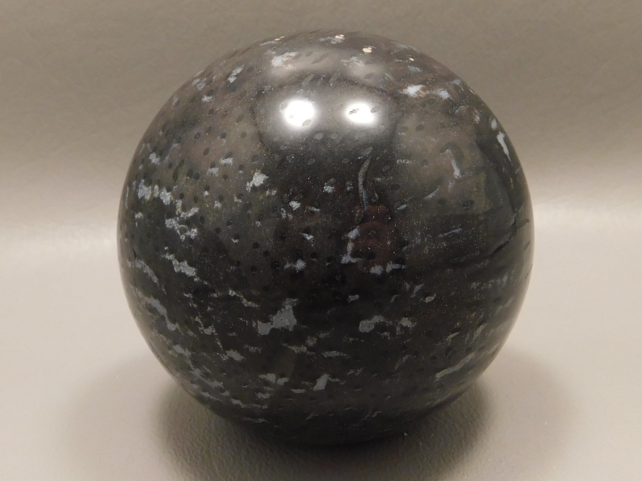 Sphere Petrified Wood Black Palm Polka Dot 2.5 inch Indonesia #O12