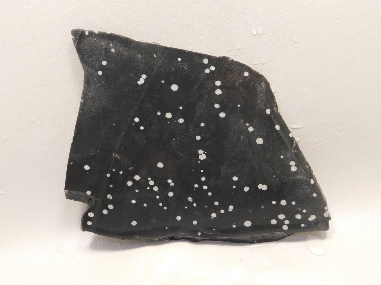 Snowflake Obsidian Stone Slab Lapidary Polka Dot Rough Rock #O11