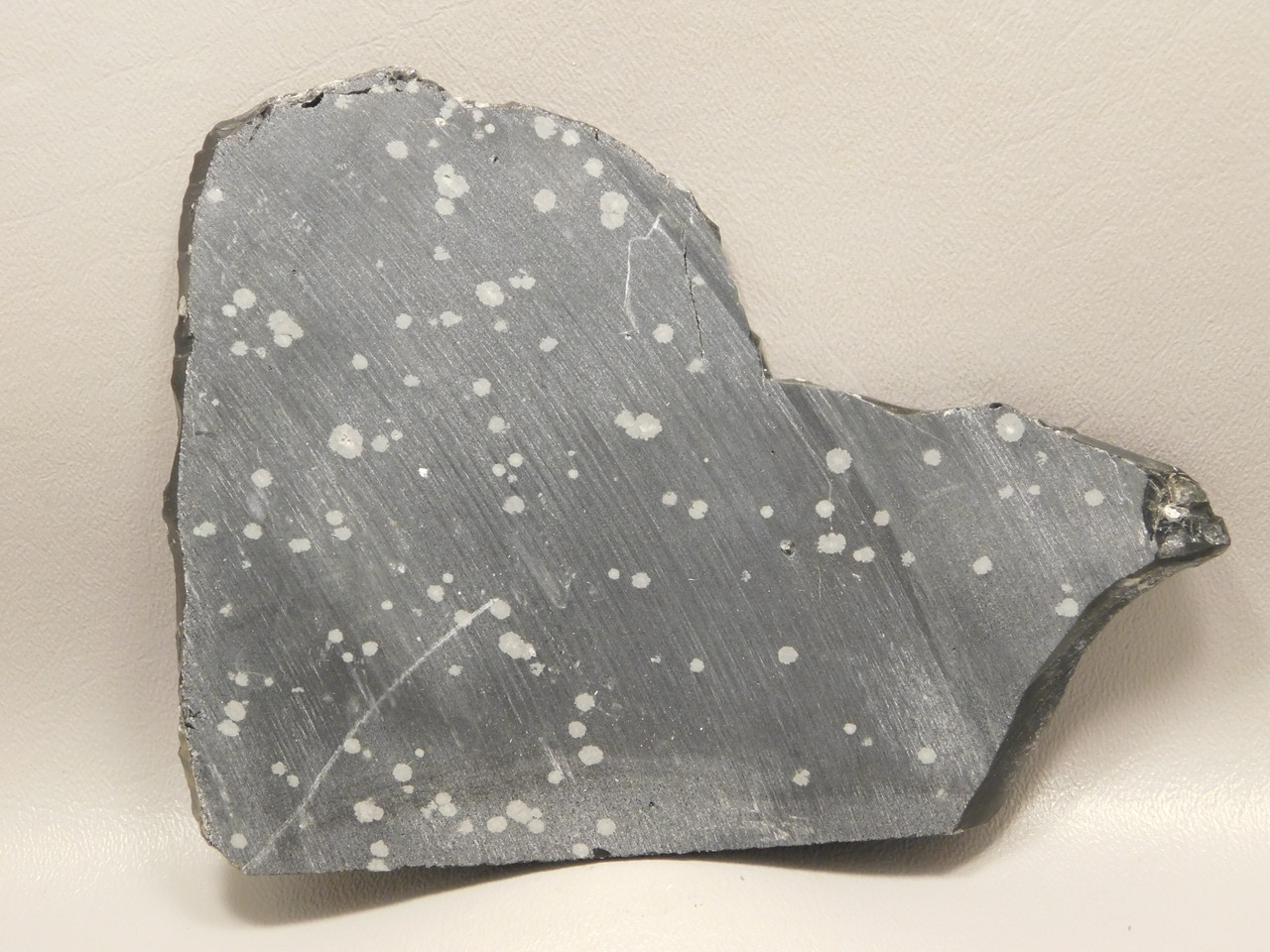 Snowflake Obsidian Stone Slab Lapidary Polka Dot Rough Rock #O11