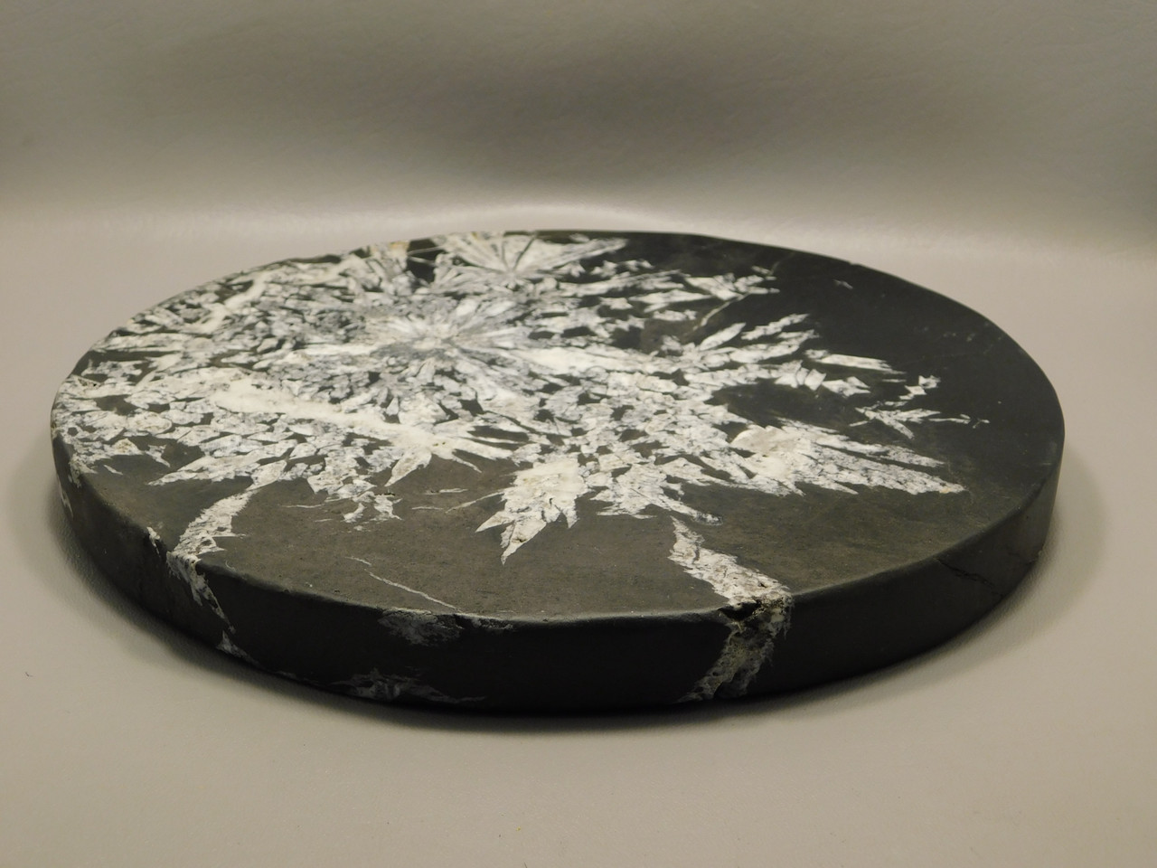 Chrysanthemum Stone Large Plate 9.5 inch Natural Decorator Rock #O21