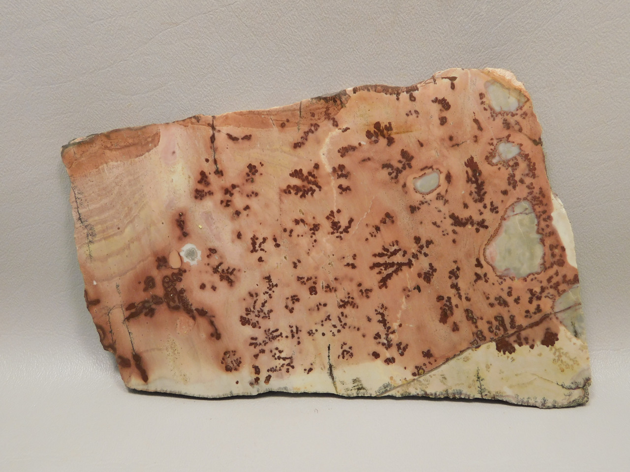 Red Sage Picture Stone Jasper Slab Rough Rock Cabbing Cutting #O2