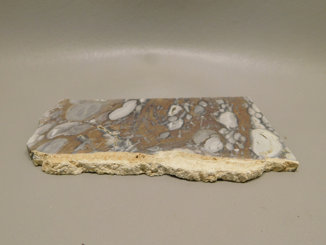 Mushroom Jasper Stone Slab Lapidary Cabbing Rough Rock #O2