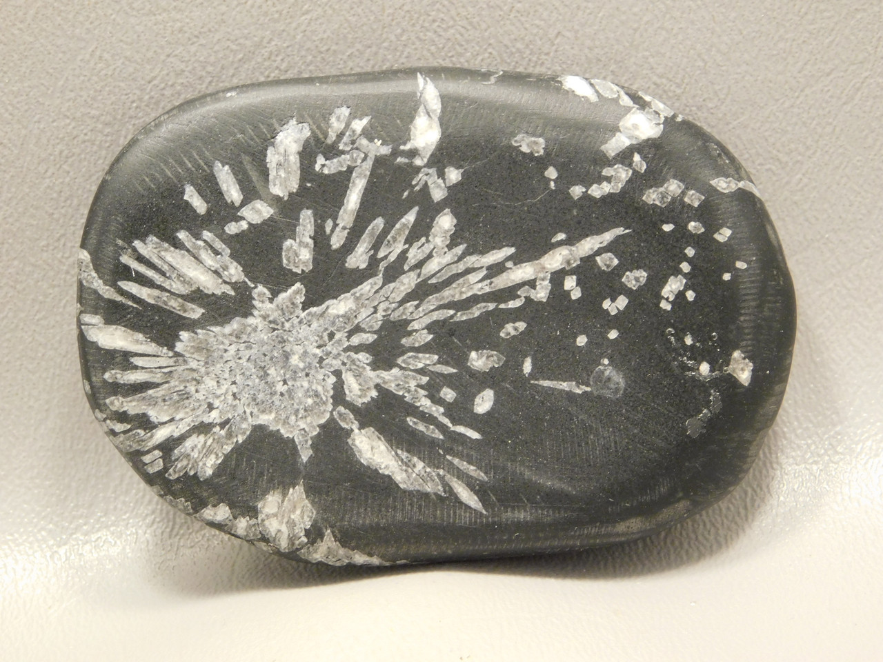 Chrysanthemum Stone 3.14 inch Palm Worry Stone Natural Rock #O12