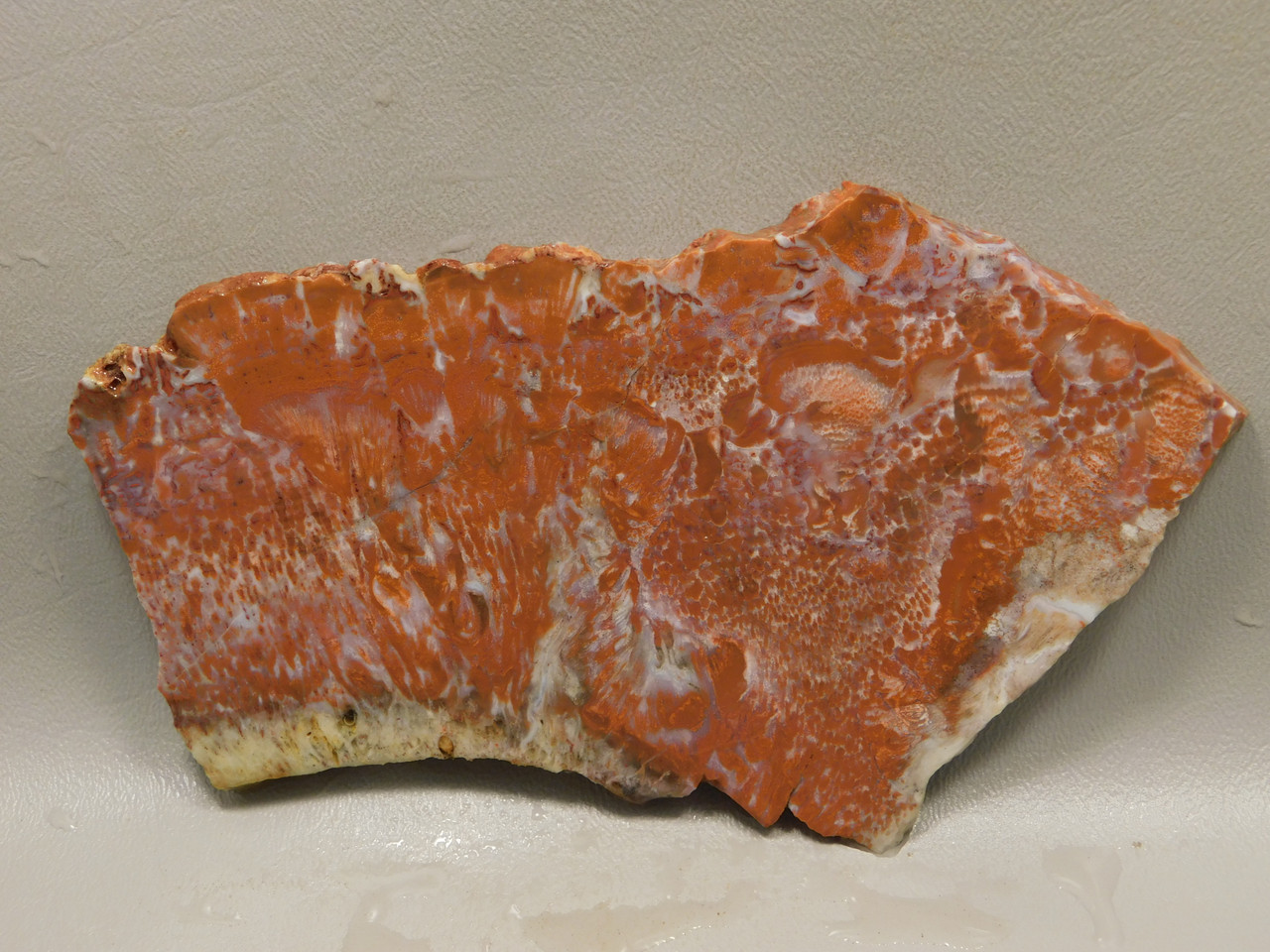 Red Agate Pseudomorph Stone Slab Lapidary Rough Rock #O3