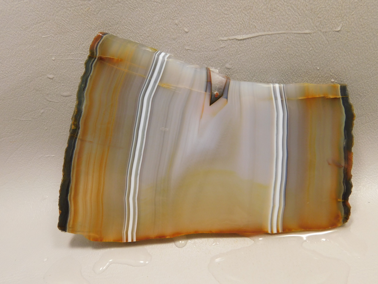 Brazilian Piranha Agate Stone Slab Lapidary Rough Rock #O1