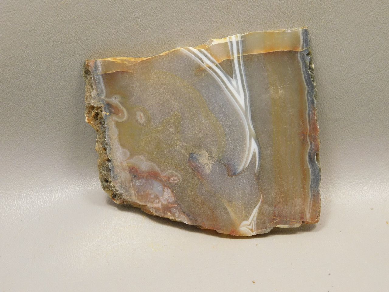 Brazilian Piranha Agate Stone Slab Lapidary Rough Rock #O3