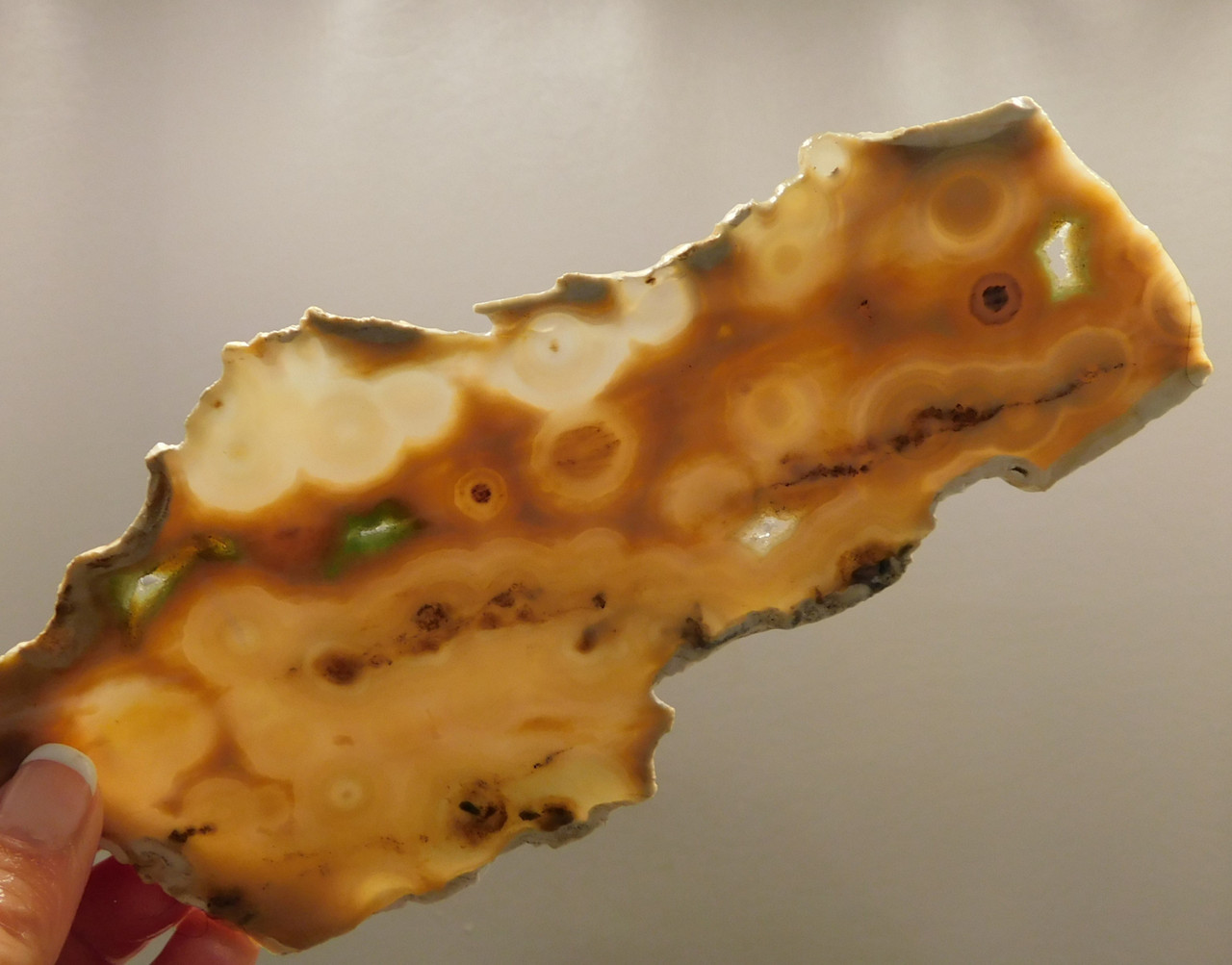 Ocean Jasper Unpolished Stone Slab Natural Lapidary Rock #O5