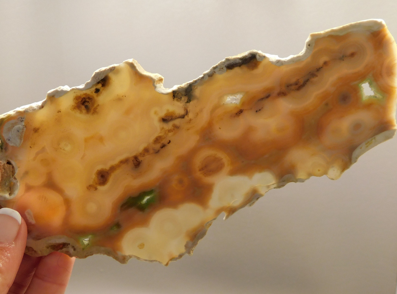 Ocean Jasper Unpolished Stone Slab Natural Lapidary Rock #O5