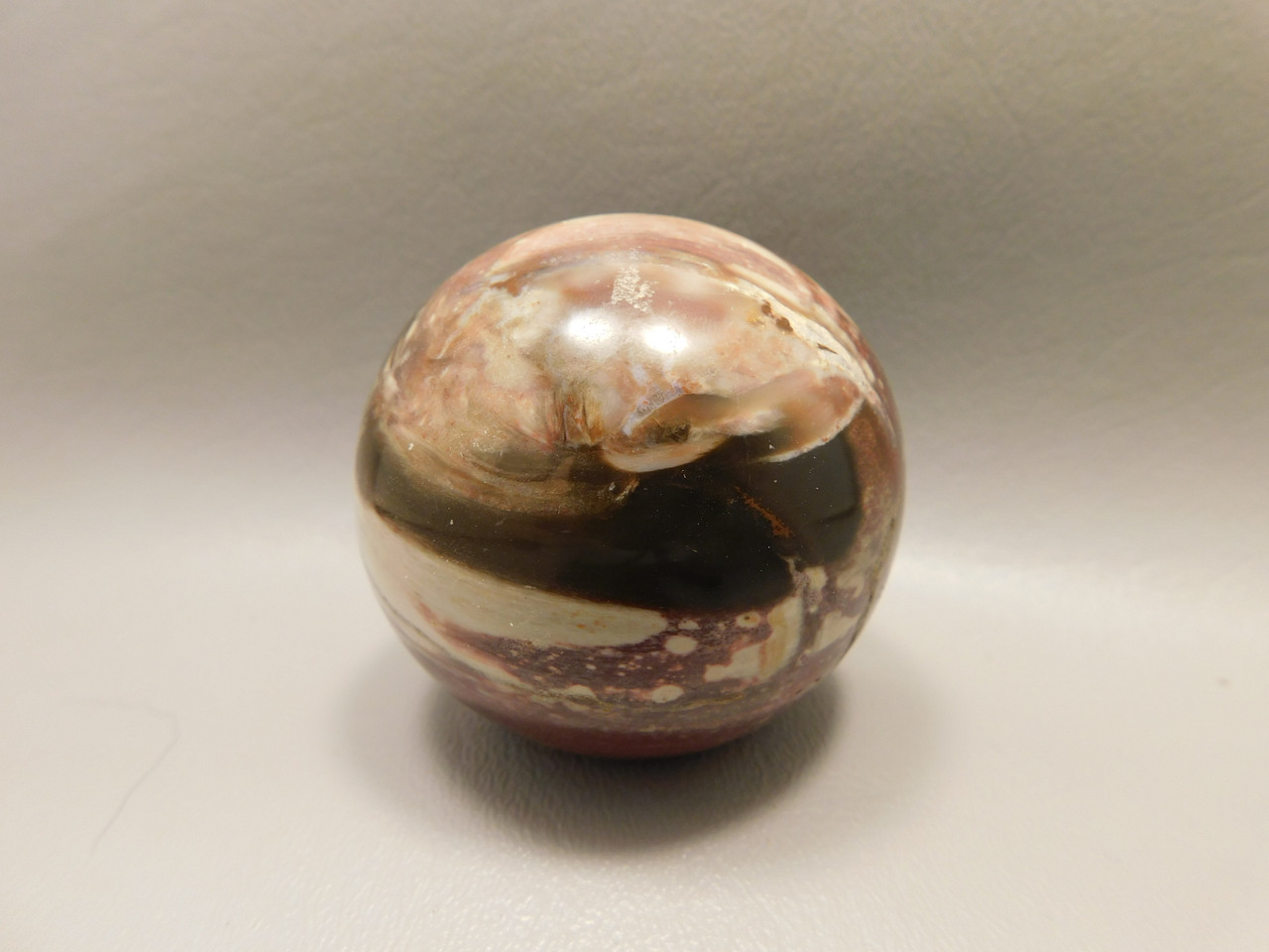 Petrified Wood Sphere Stone 2.25 inch Mineral Ball Madagascar #OM3