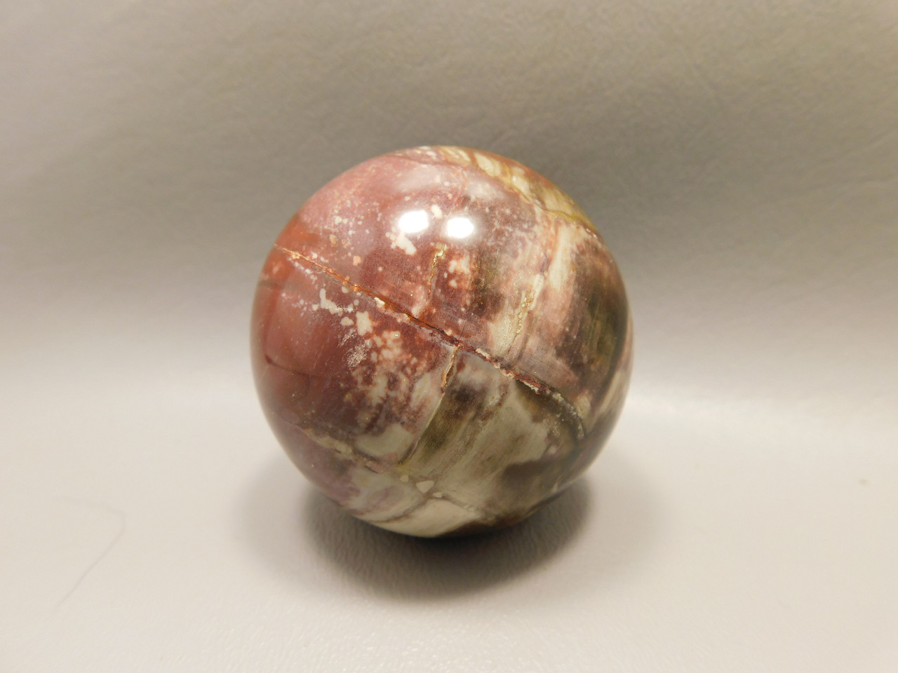 Petrified Wood Sphere Stone 2.25 inch Mineral Ball Madagascar #OM3