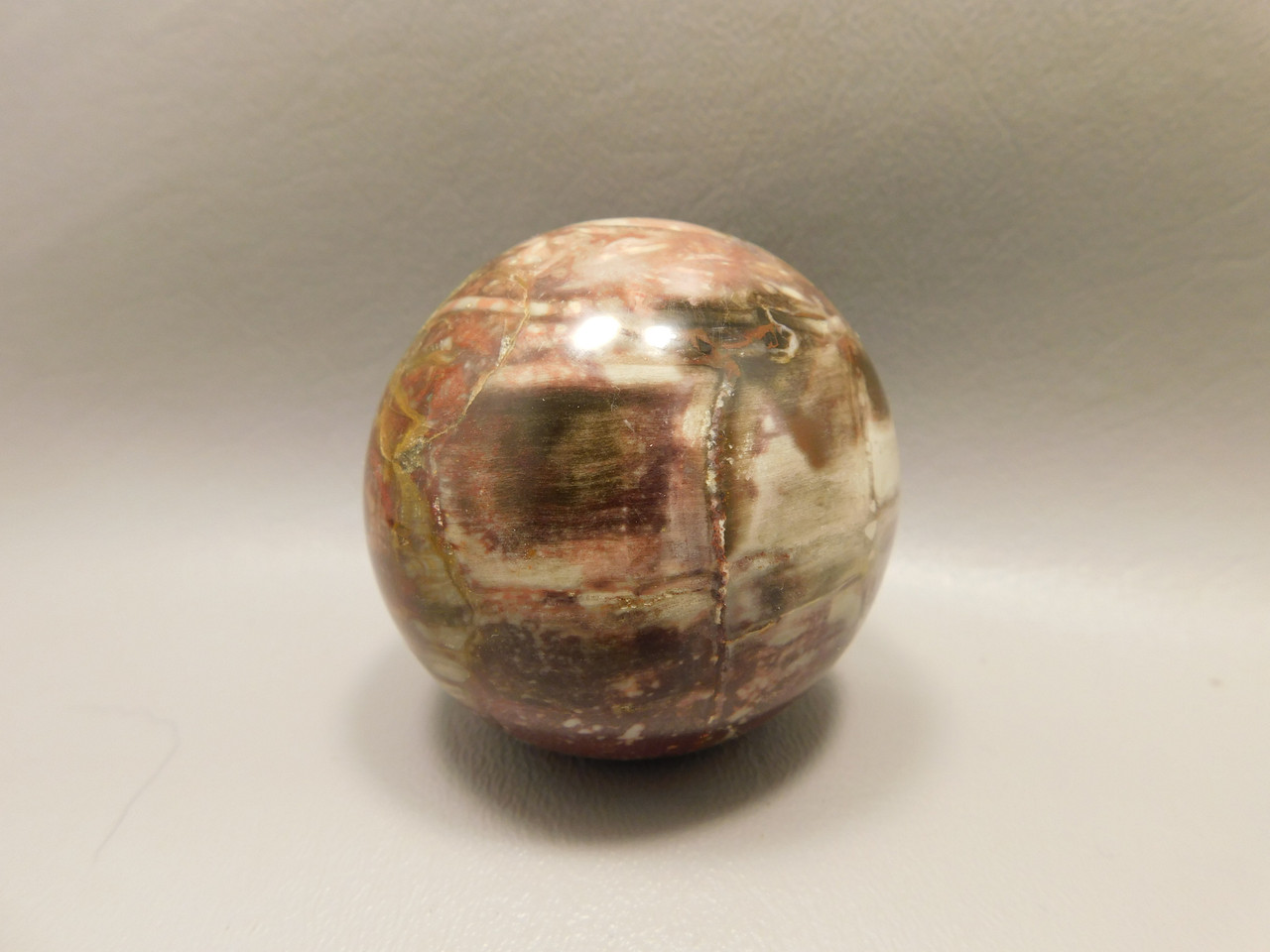 Petrified Wood Sphere Stone 2.25 inch Mineral Ball Madagascar #OM3