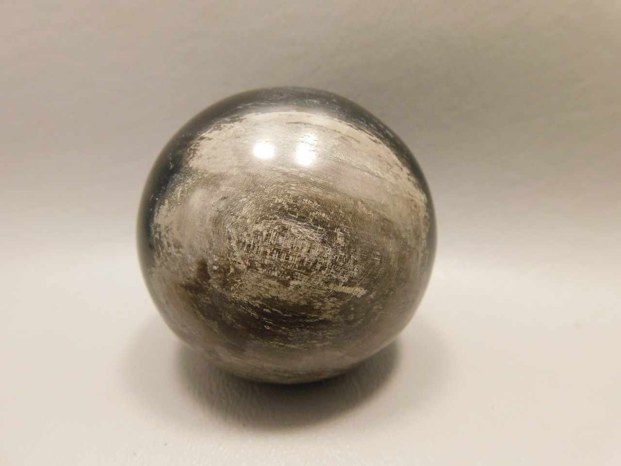 Petrified Wood Stone Sphere Fossilized Northwestern USA #O91