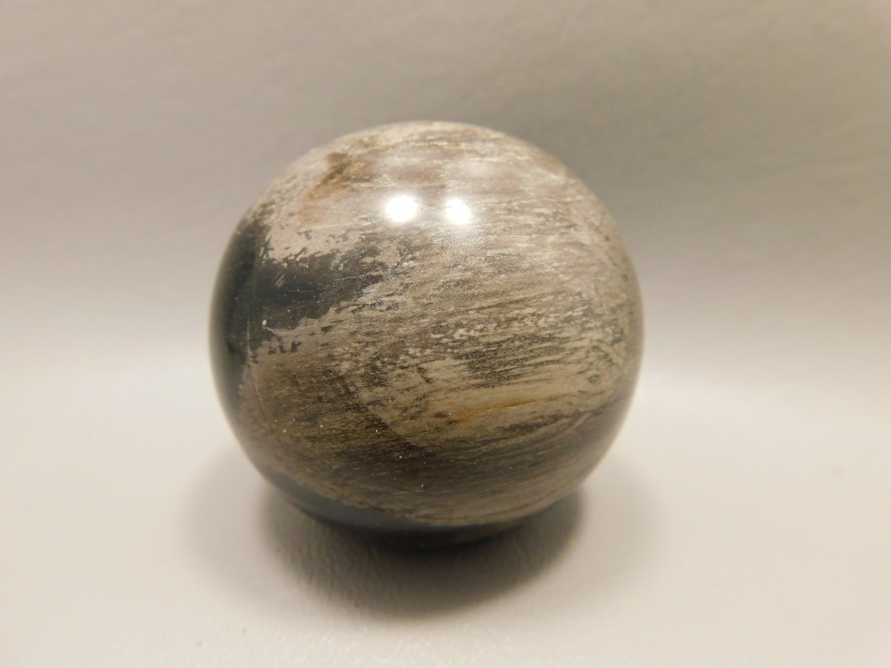 Petrified Wood Stone Sphere Fossilized Northwestern USA #O91