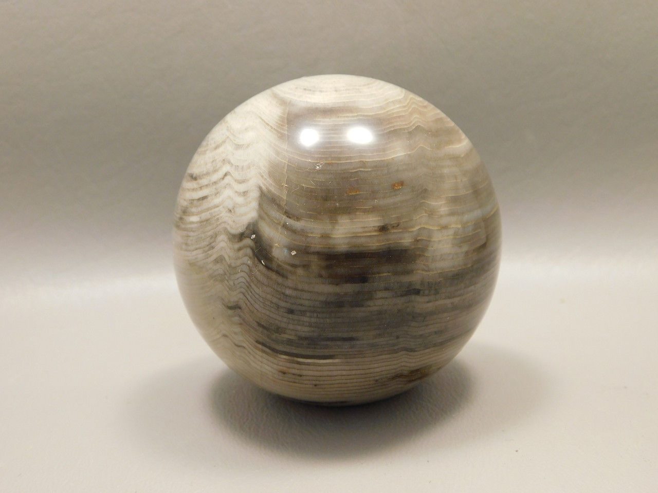 Petrified Wood 2.6 inch Stone Sphere Fossil Sequoia USA #O1