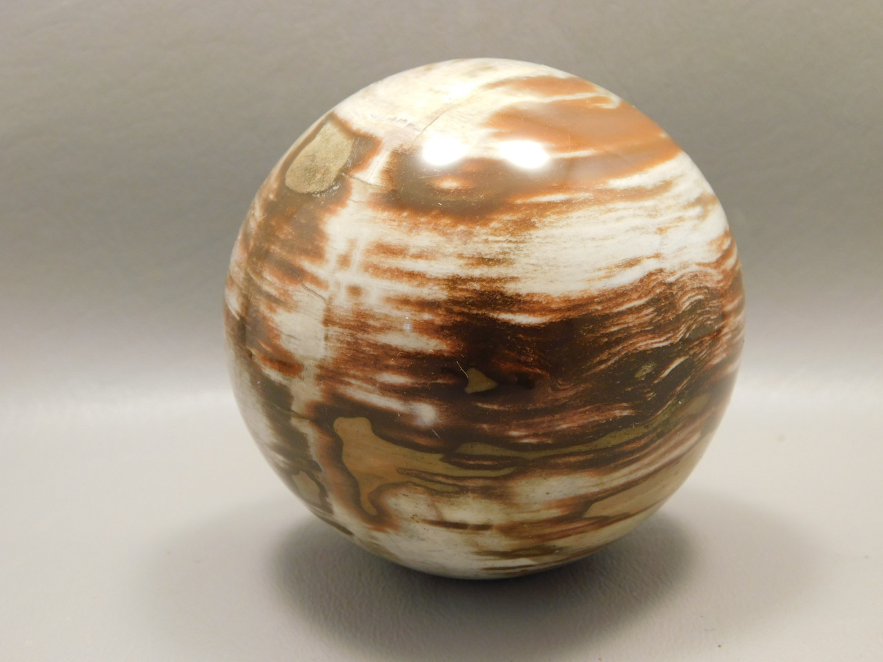 Petrified Wood Sphere Stone 3 inch Mineral Ball Madagascar #OM5