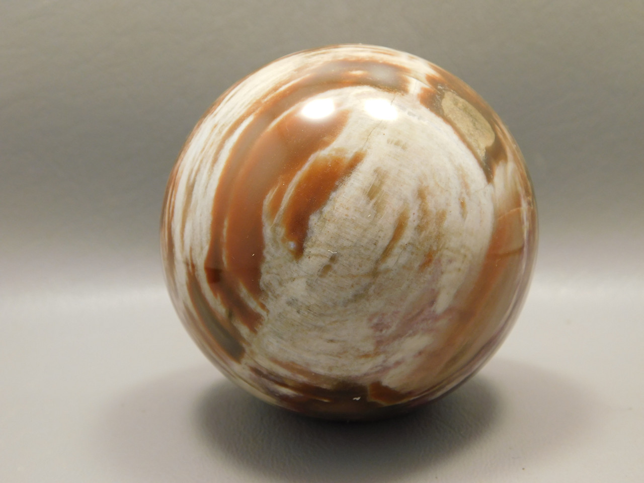 Petrified Wood Sphere Stone 3 inch Mineral Ball Madagascar #OM5