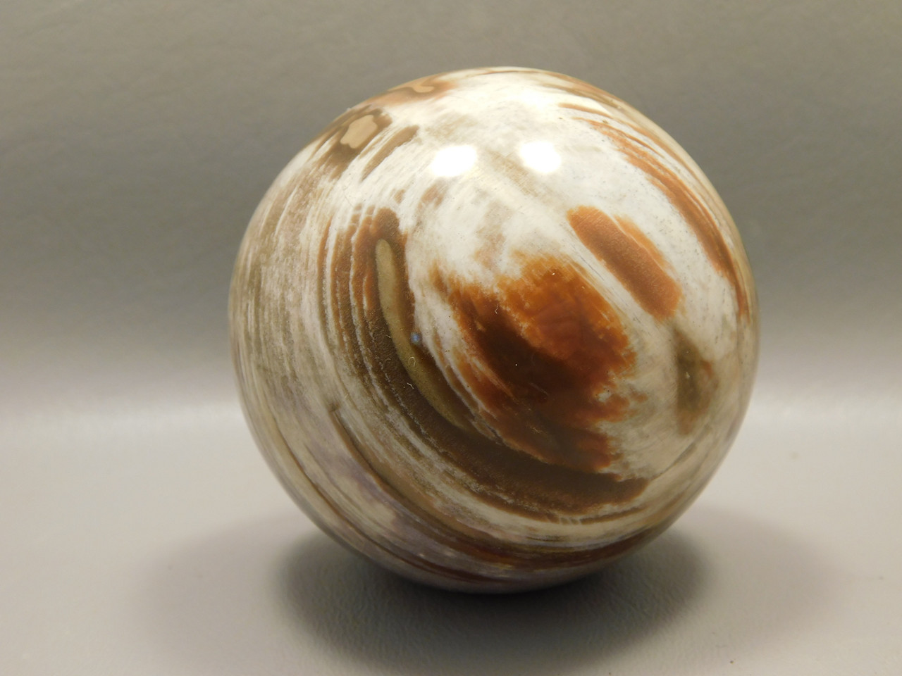 Petrified Wood Sphere Stone 3 inch Mineral Ball Madagascar #OM5