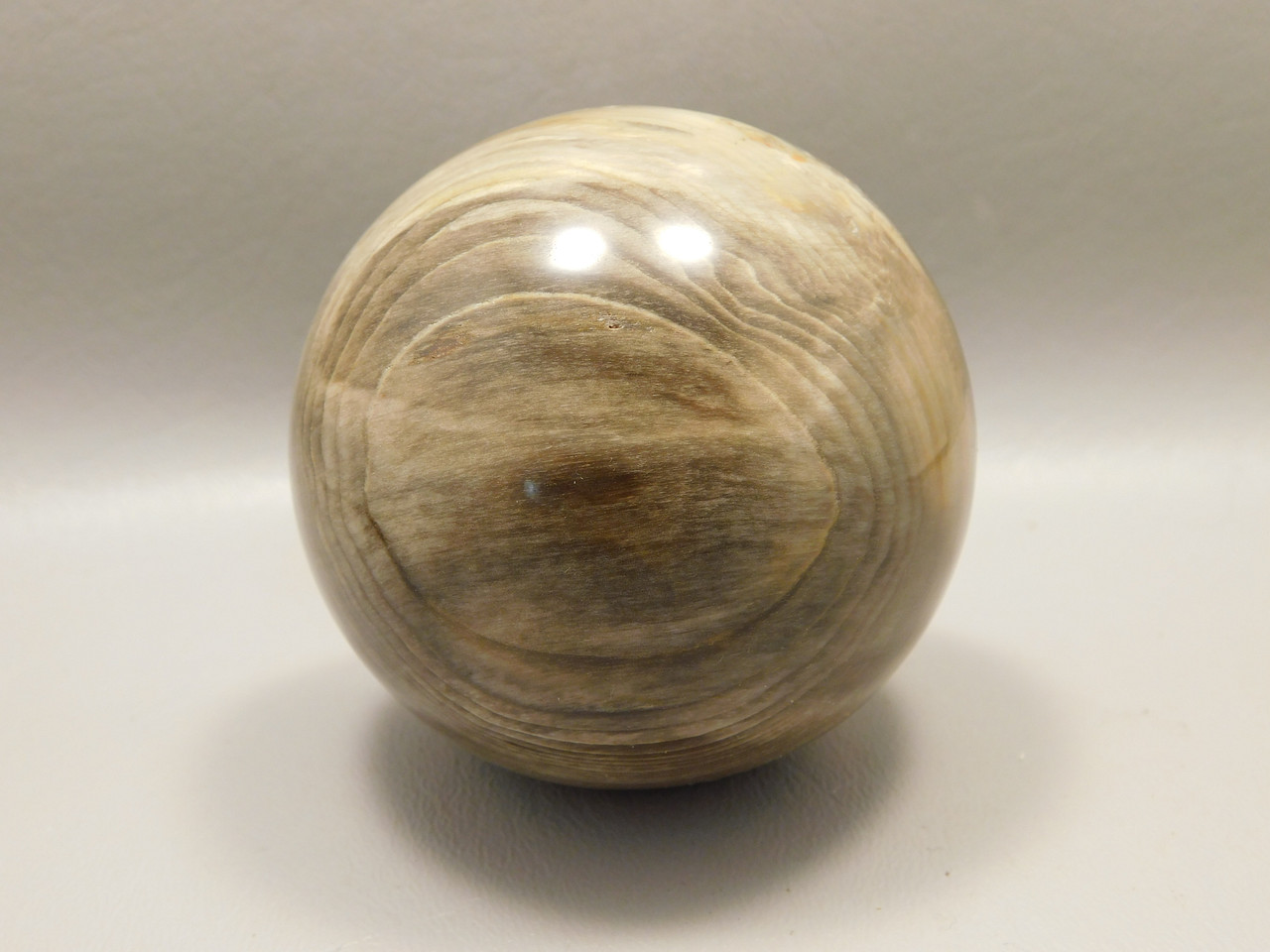 Petrified Wood 2.75 inch Stone Sphere Fossil Sequoia USA #O4