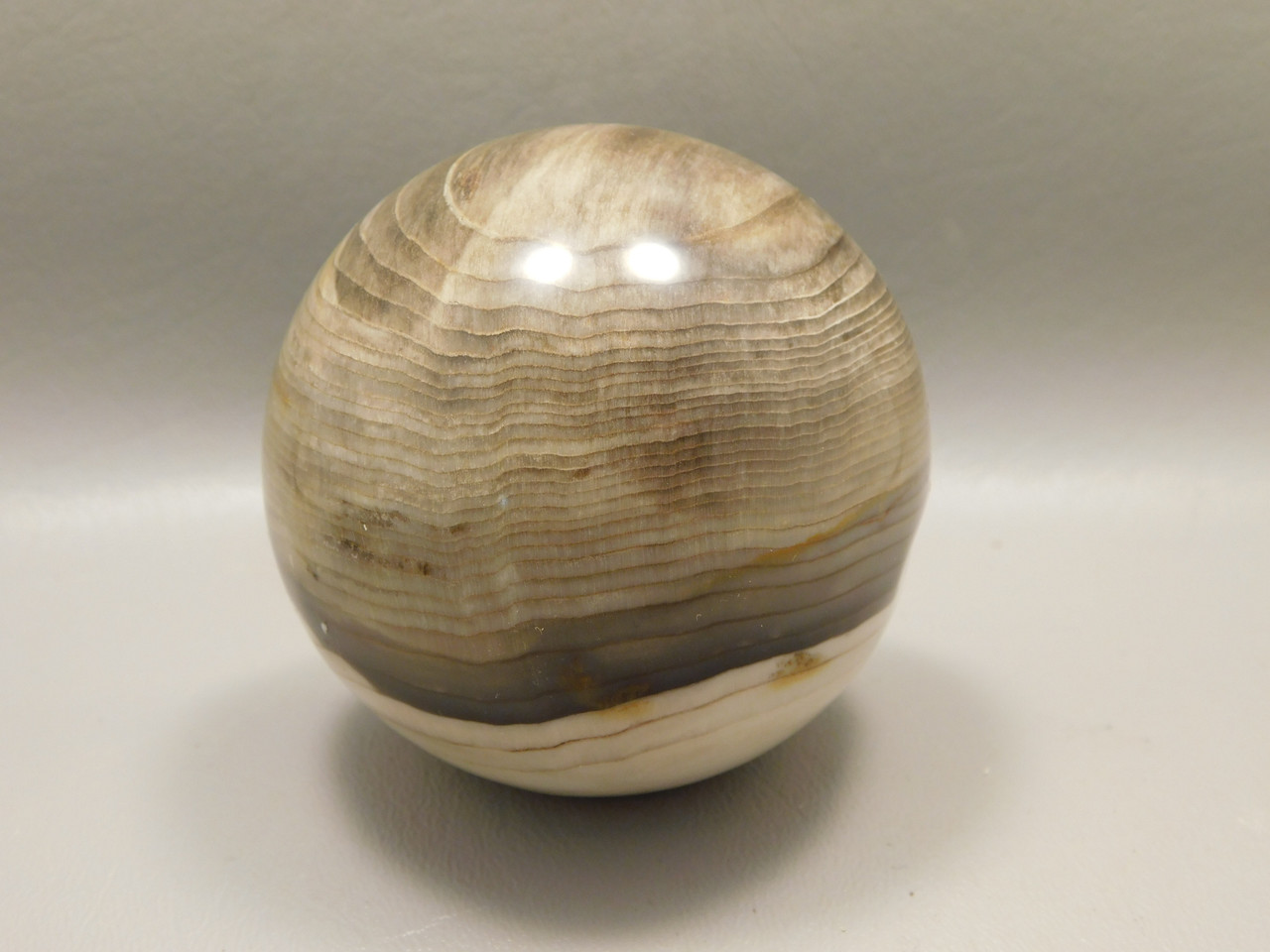 Petrified Wood 2.75 inch Stone Sphere Fossil Sequoia USA #O4