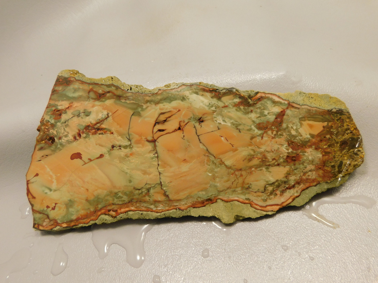 Carrasite Jasper Stone Slab Lapidary Cabbing Rough Rock #O4