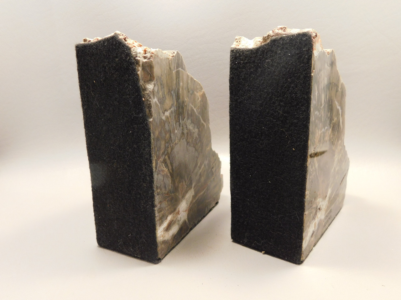 Petrified Wood Bookends Polished Rock 5 inch Fossilized Arizona Conifer #O2