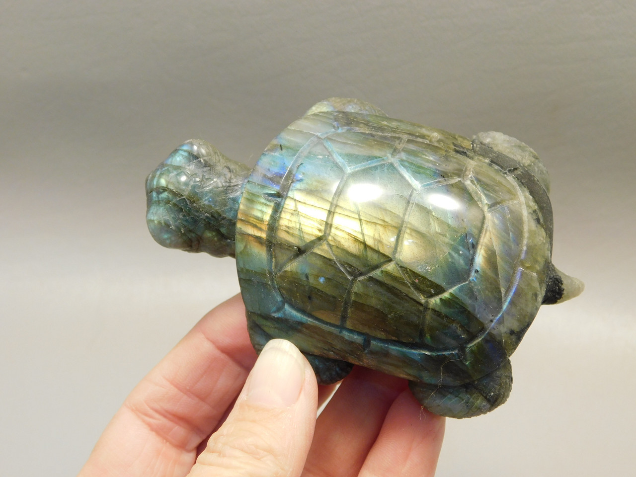 Turtle Figurine Labradorite Carved 3.6 inch Gemstone Carving #O32