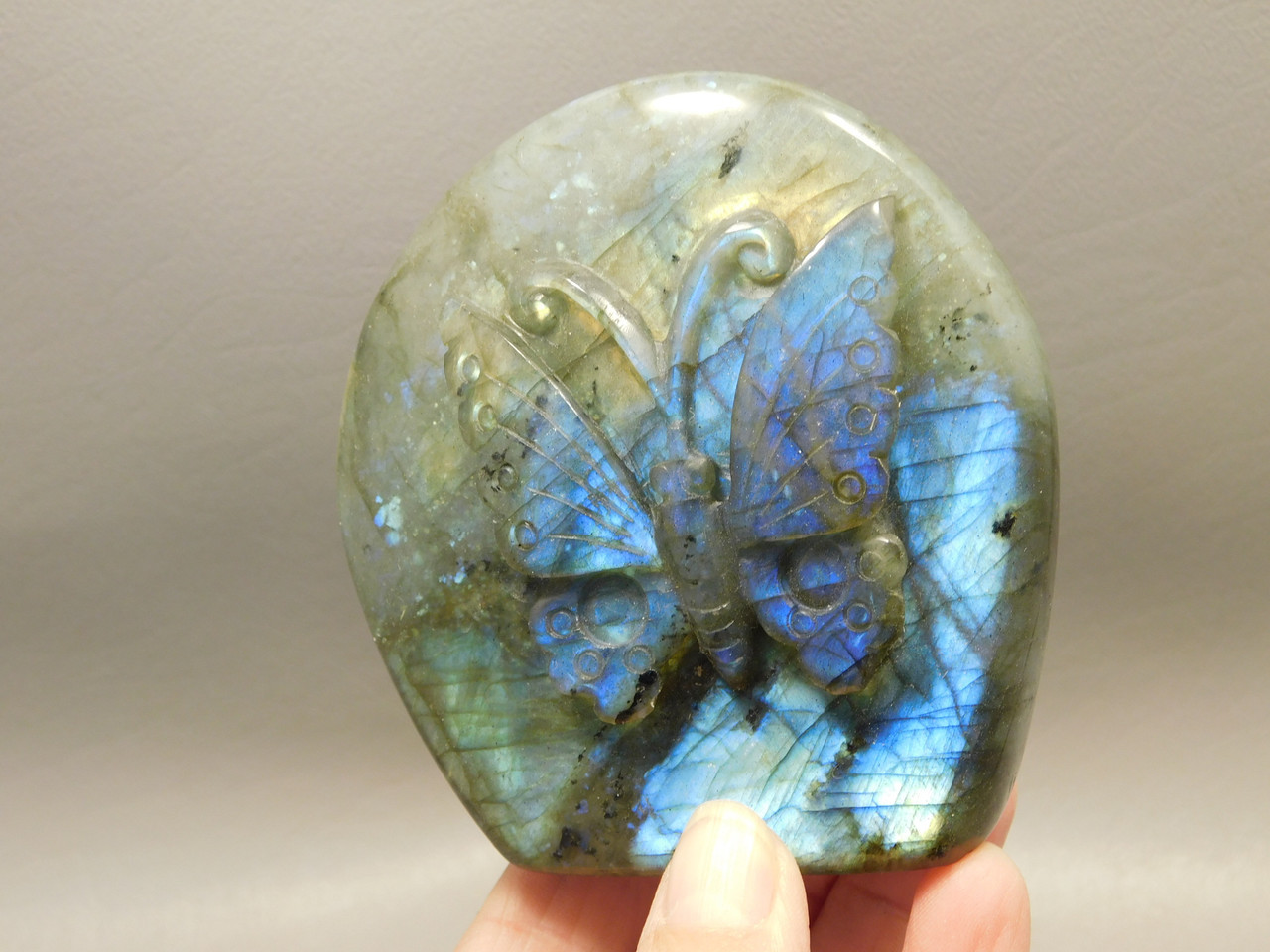 Butterfly Figurine Labradorite  Stone Animal Insect Carving #O4