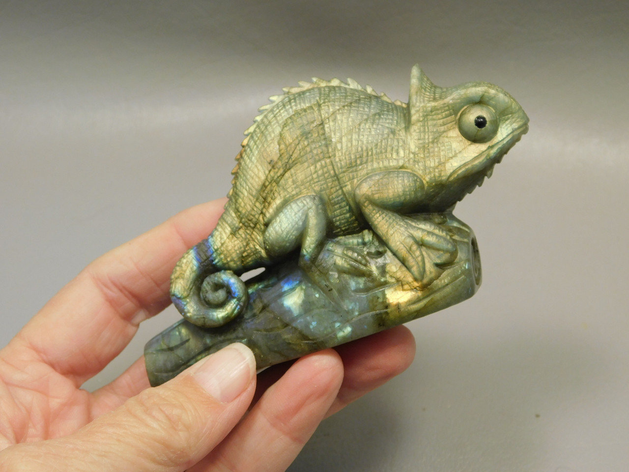 Chameleon Lizard Figurine Labradorite  Stone Animal Carving #O214