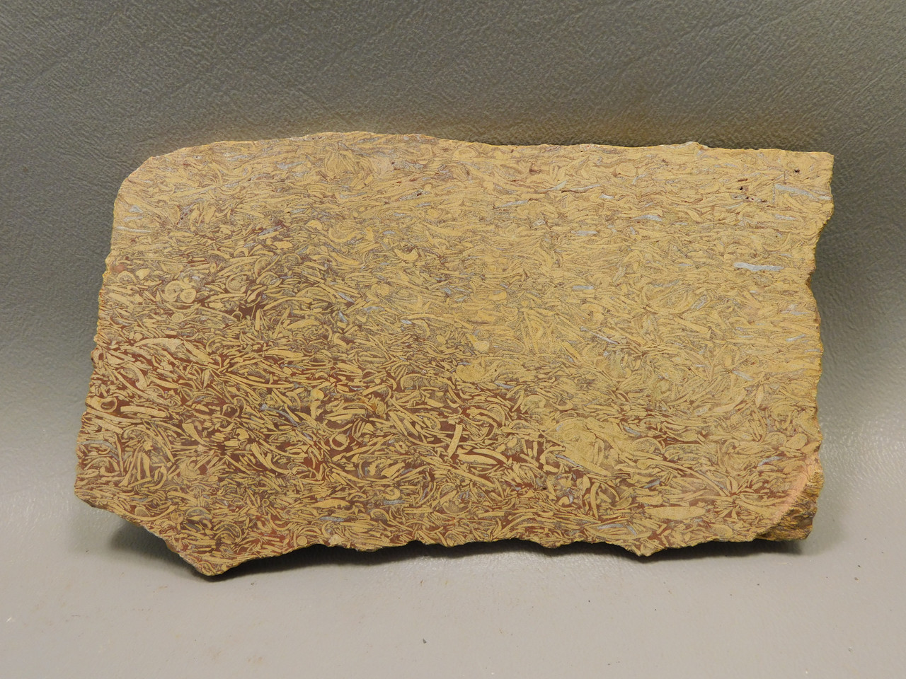 Coquina Jasper Lapidary Rough Rock Script Stone Slab Cabbing #O5