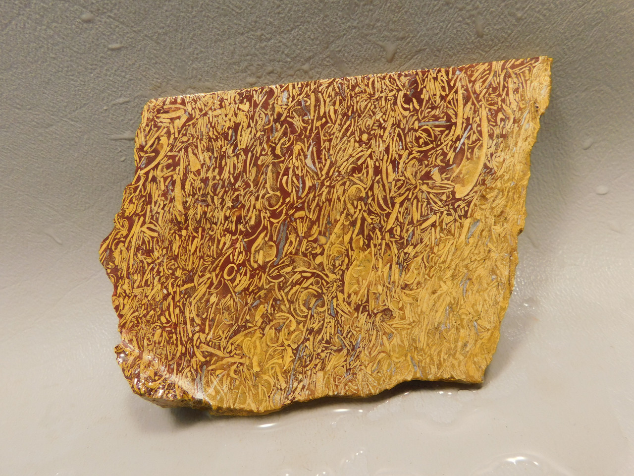 Coquina Jasper Lapidary Rough Rock Script Stone Slab Cabbing #O5