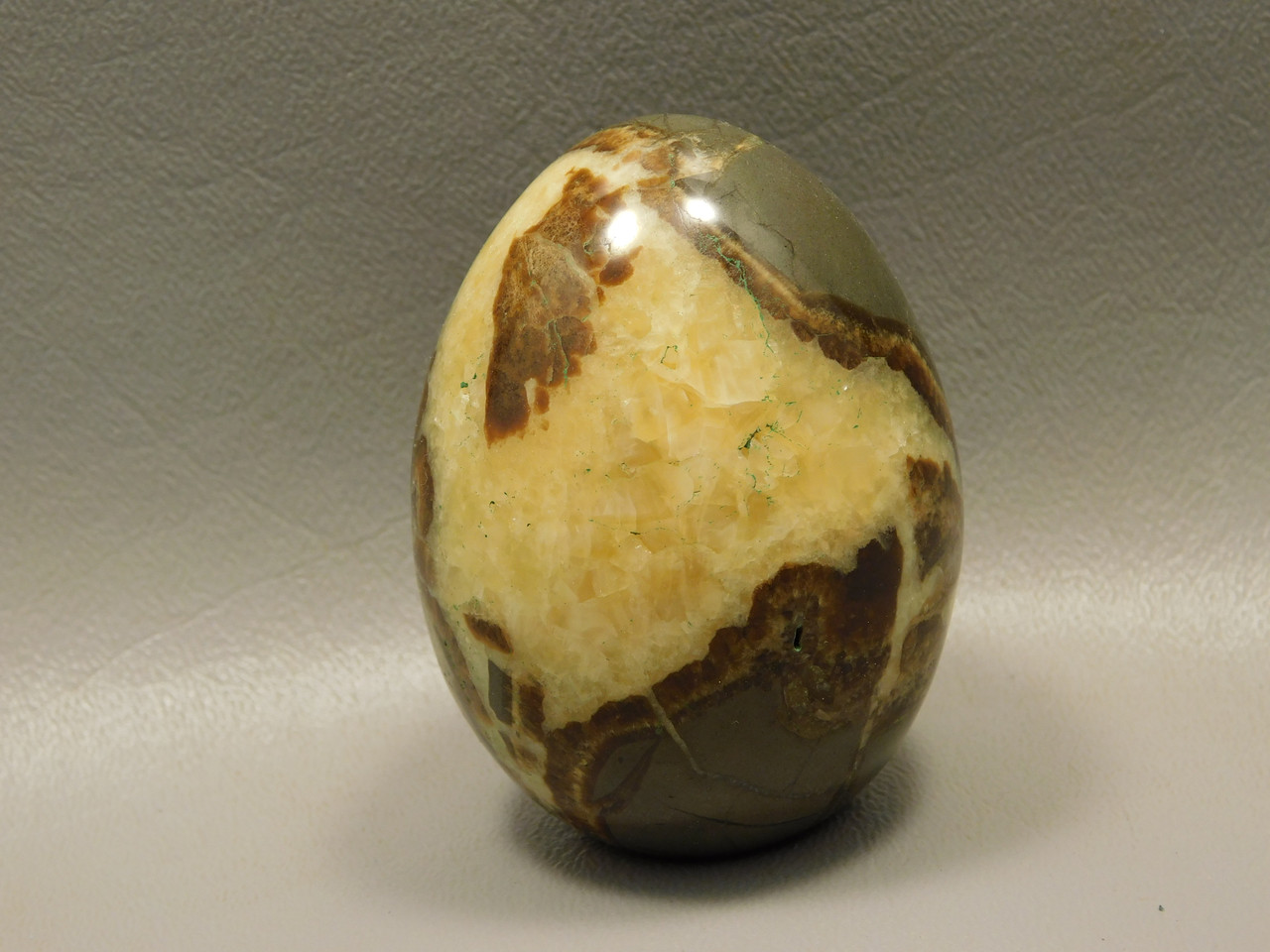 Septarian Nodule Egg Shaped 2.4 inch Polished Rock Utah Stone #O1