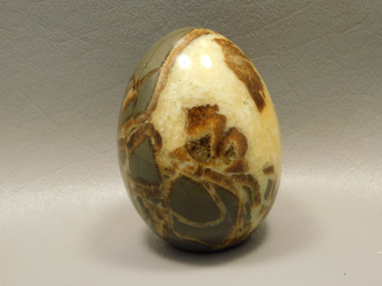 Septarian Nodule Egg Shaped 2.4 inch Polished Rock Utah Stone #O1