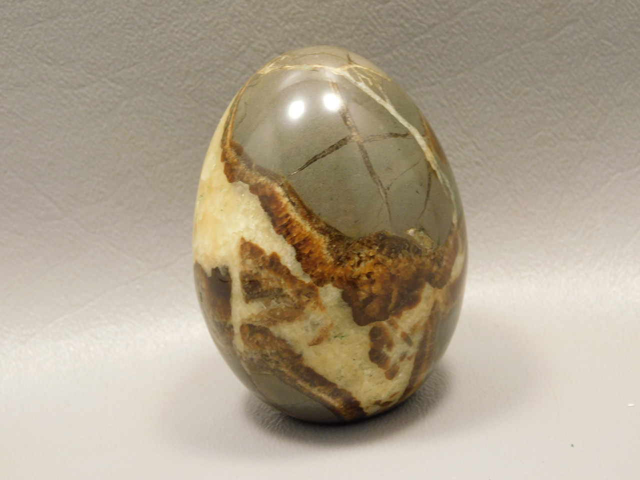 Septarian Nodule Egg Shaped 2.4 inch Polished Rock Utah Stone #O1