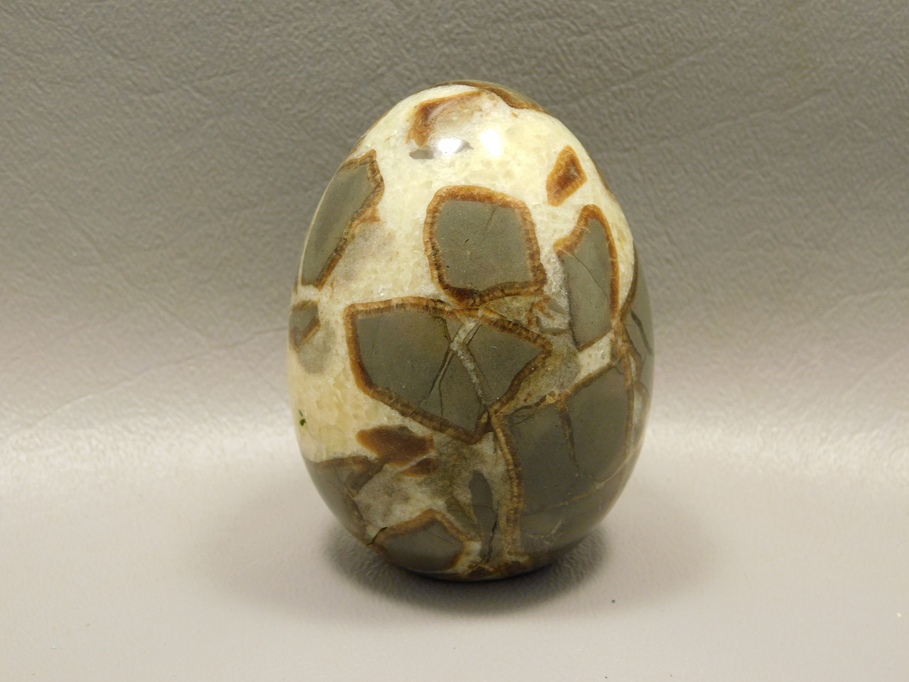 Septarian Nodule Egg Shaped 2.5 inch Polished Rock Utah Stone #O2