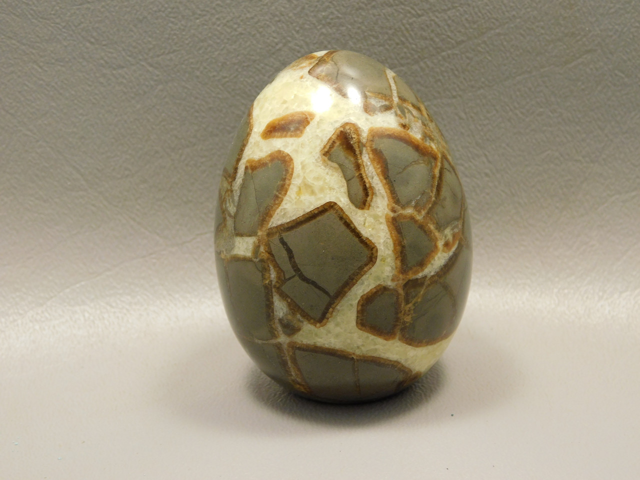 Septarian Nodule Egg Shaped 2.5 inch Polished Rock Utah Stone #O2