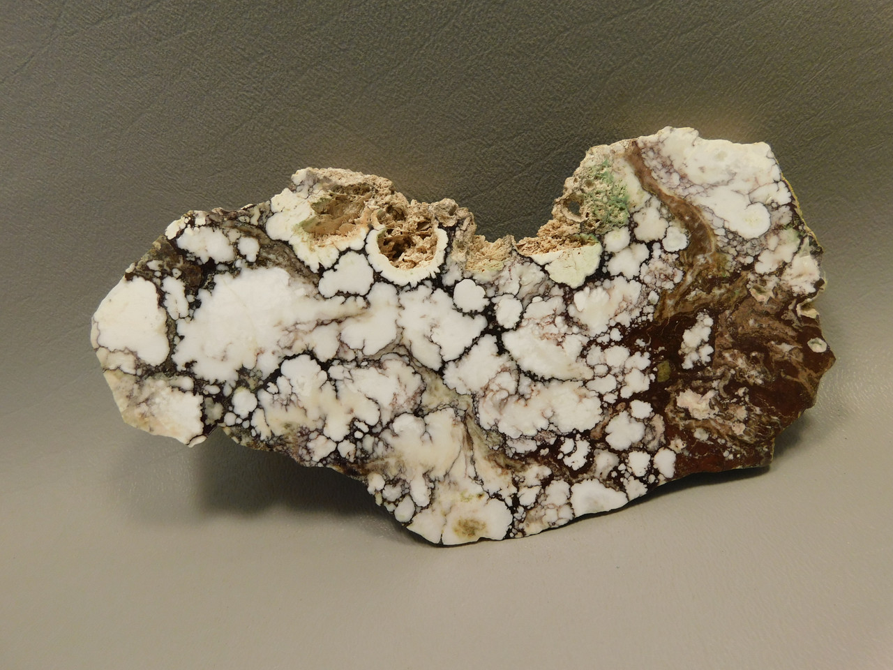 Wild Horse Polished Stone Endcut Magnesite Arizona Rock Slab #O17