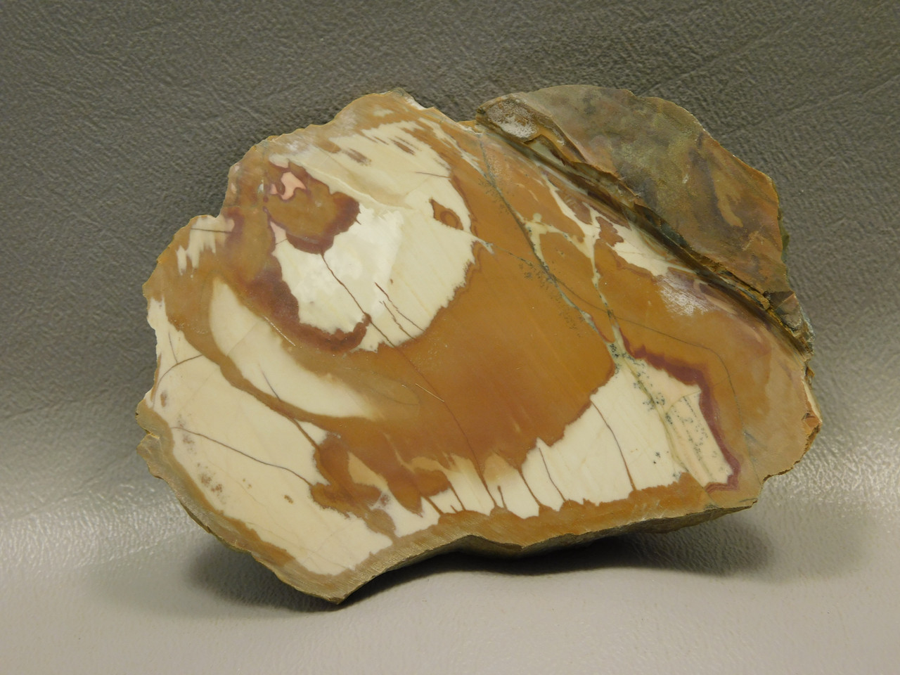 Owyhee Jasper Unpolished Stone Endcut Lapidary Rough Rock #O3