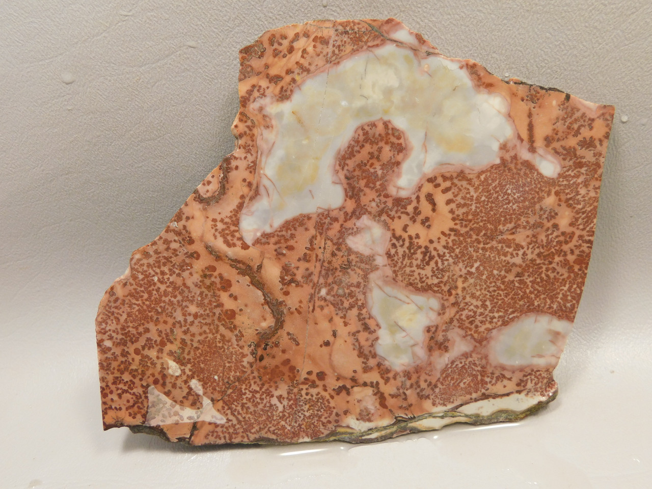 Red Sage Picture Stone Jasper Slab Rough Rock Cabbing Cutting #O4
