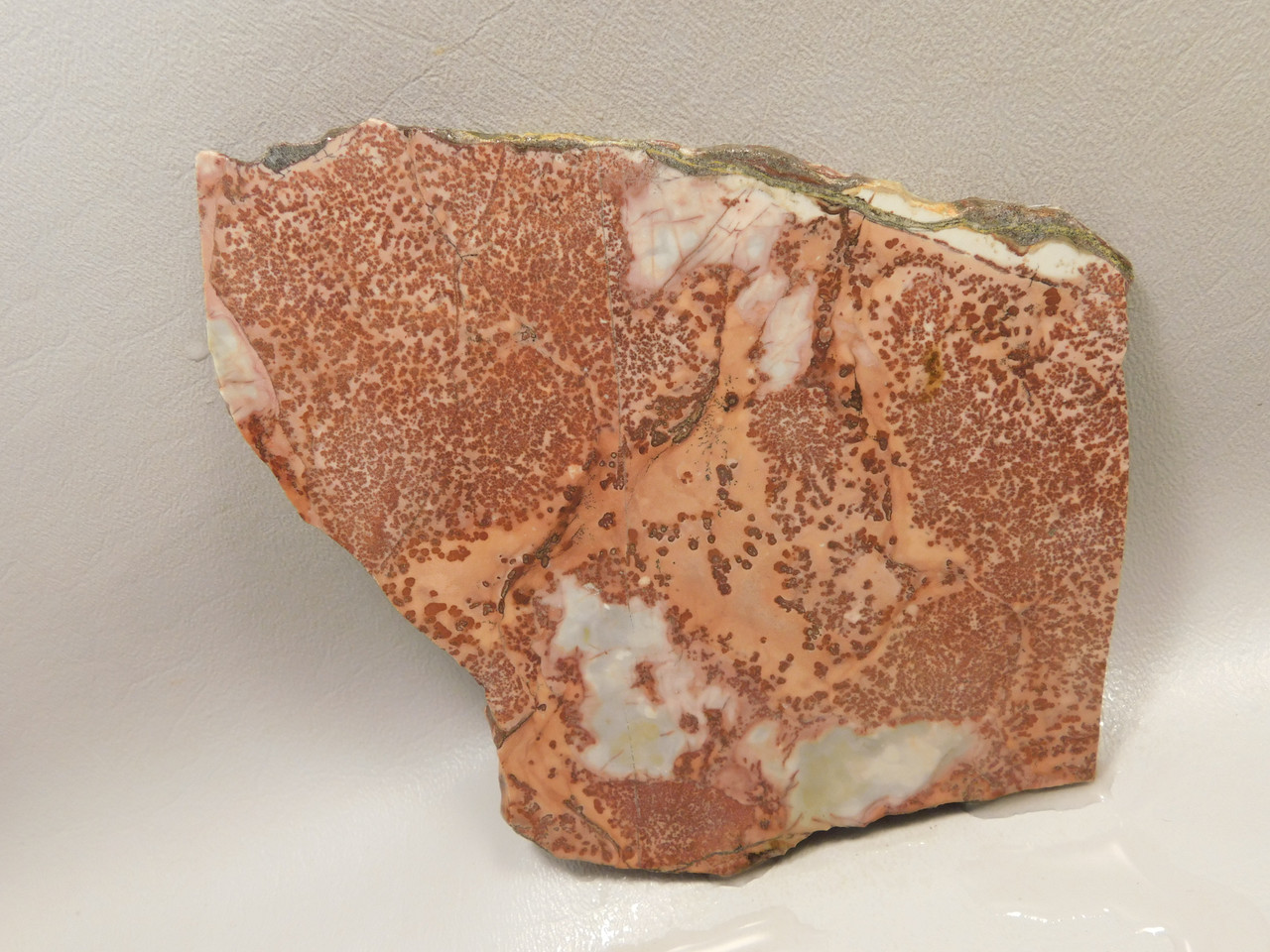 Red Sage Picture Stone Jasper Slab Rough Rock Cabbing Cutting #O4