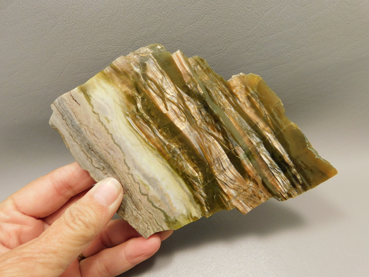 Arizona Pietersite Polished Stone Slab Chatoyant Tiger Eye #O2