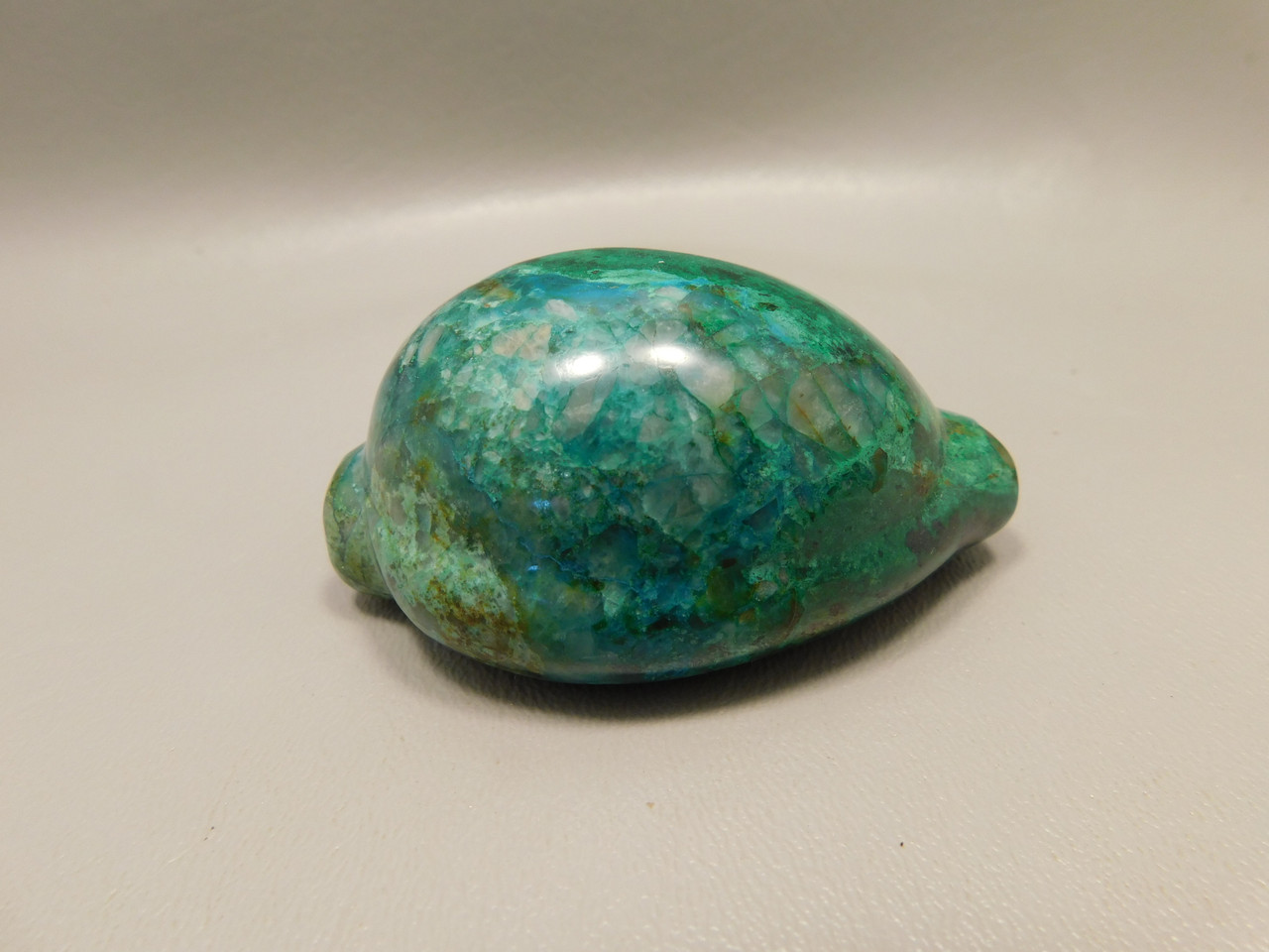 Chrysocolla Malachite Seashell Hand Carved Cowrie Stone Carving Arizona #O1