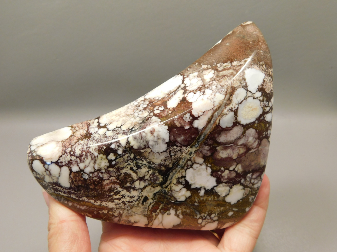 Wild Horse Polished Rock Home Decor Magnesite Arizona #O20