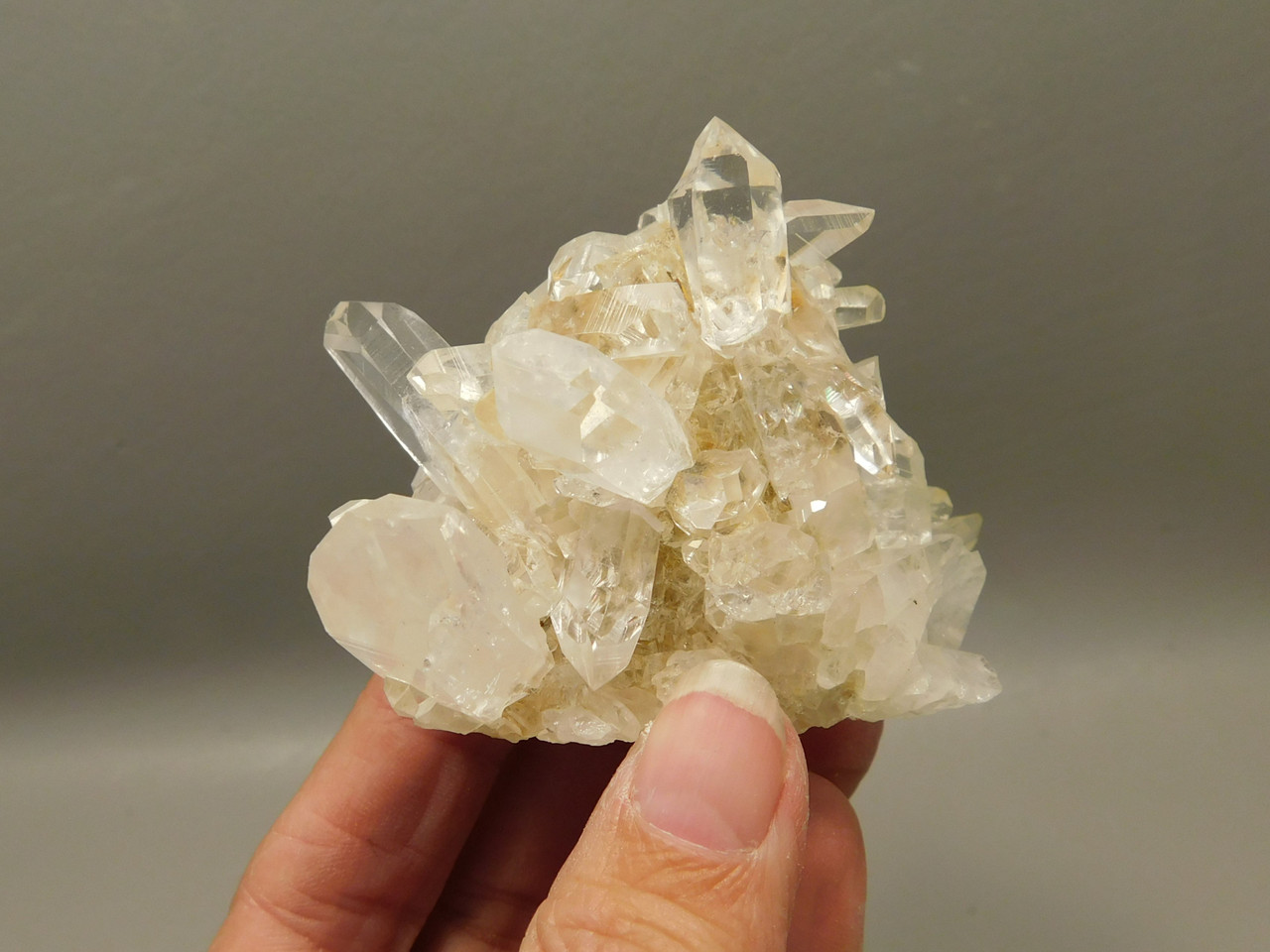Lemurian Quartz Cluster Clear Natural Crystal Points 3.4 inch Columbia #O8